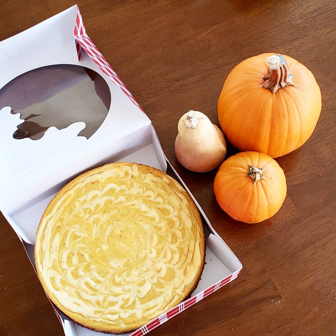 Pumpkin cheesecake