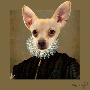 Beige chihuahua head on a human body depicting a Renaissance Art painting