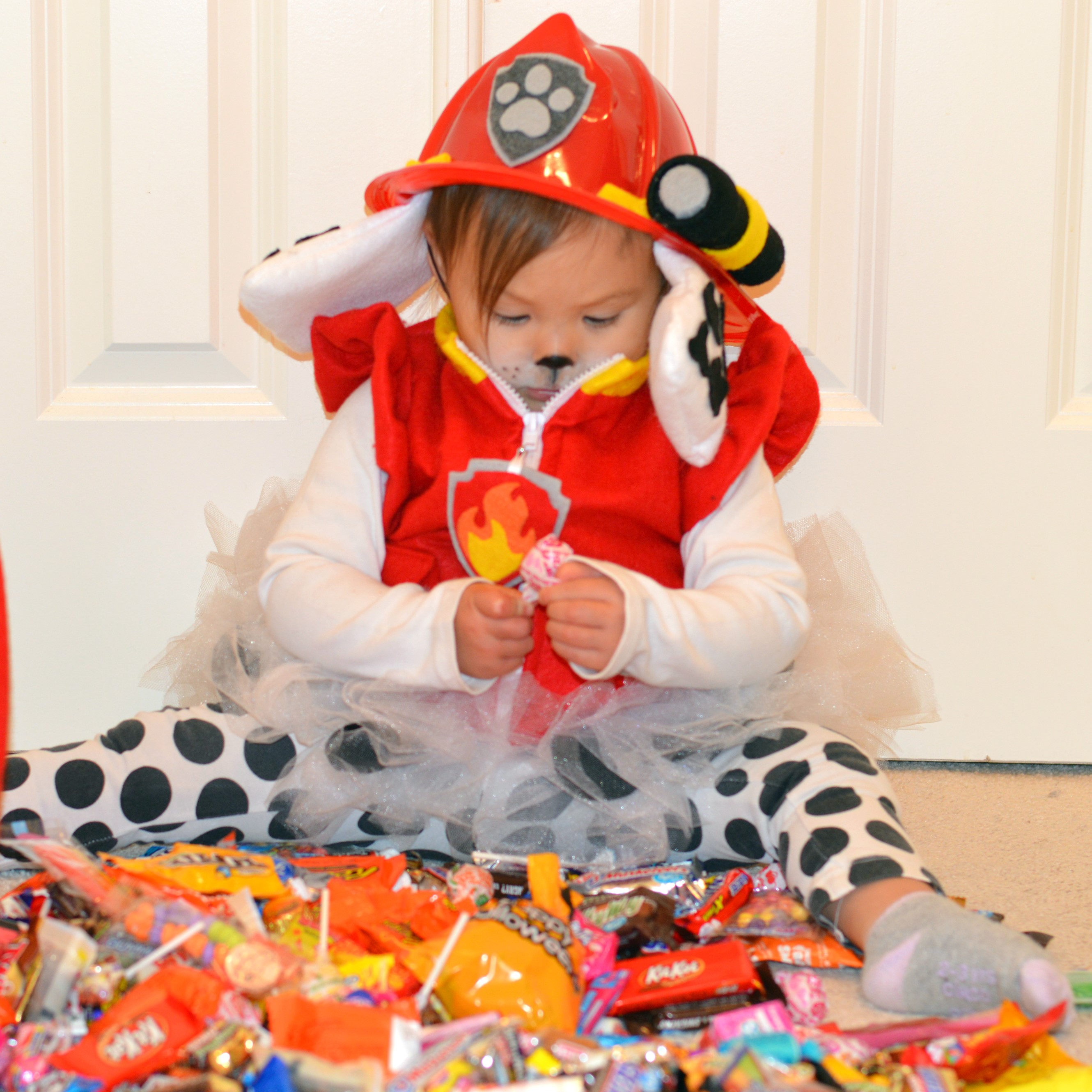 Marshall character costume (zipper vest with dog ID tag, tutu with tail and hat with ears) worn by a child